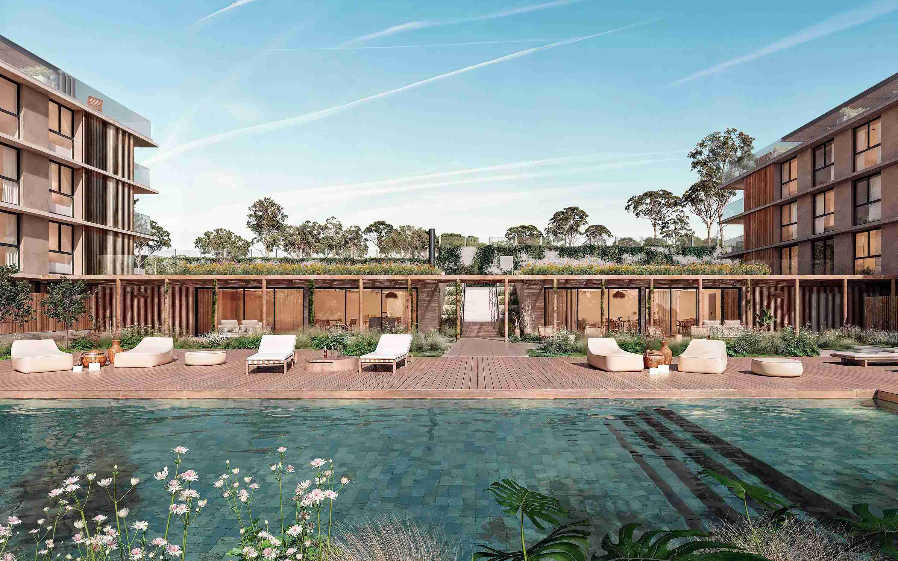 Segunda foto accesos La Guadalupe con vegetación